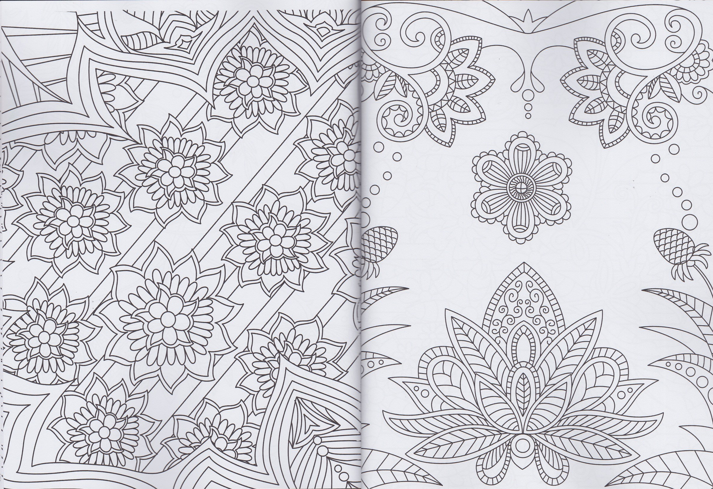 colorear libros adultos