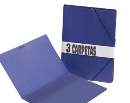 3 CARPETAS 1/4 CARTON (uso escolar)