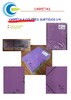 CARPETA 4 COLORES SURTIDOS 1/4 C/SOLAPA